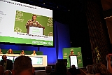 Cstamma2013-097