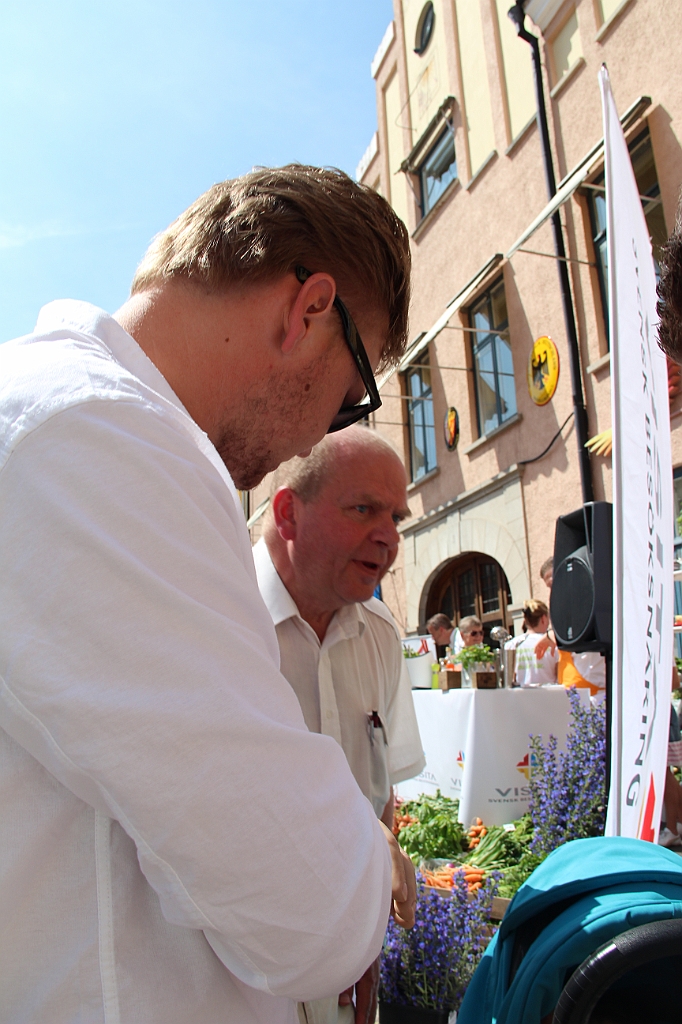 Almedalen2015-0356
