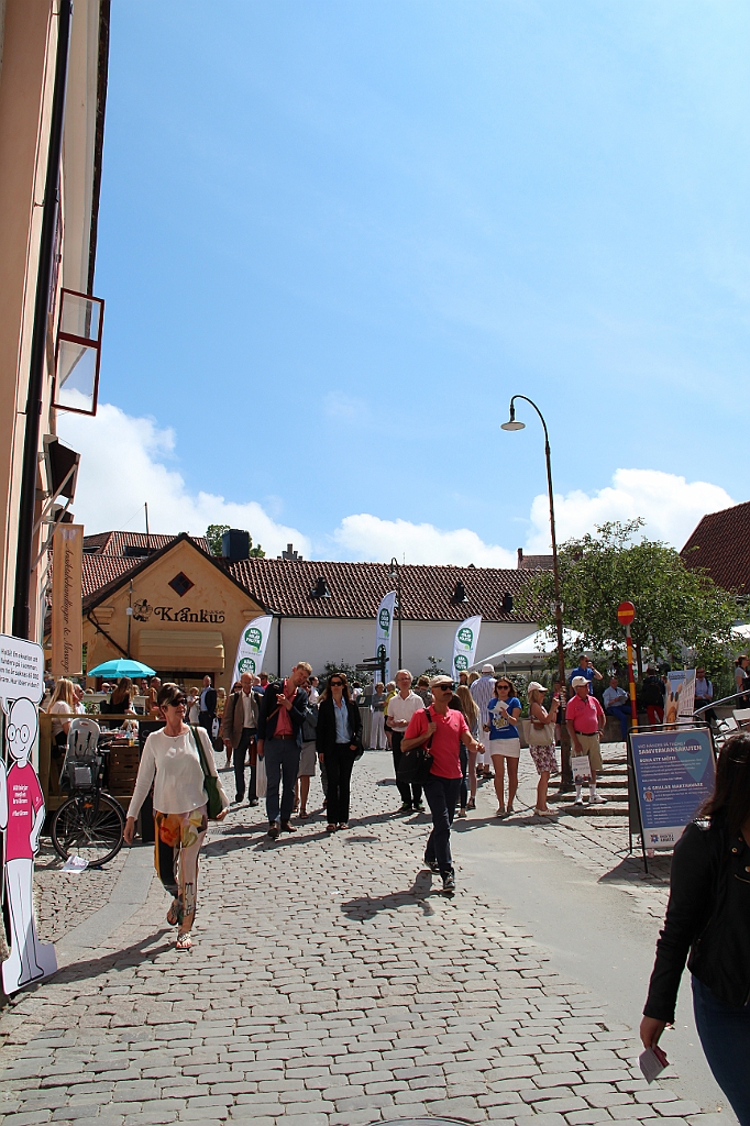 Almedalen2015-0360