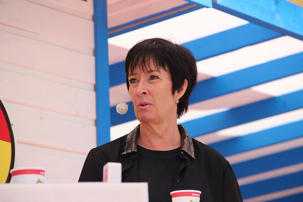 Almedalen2015-0624