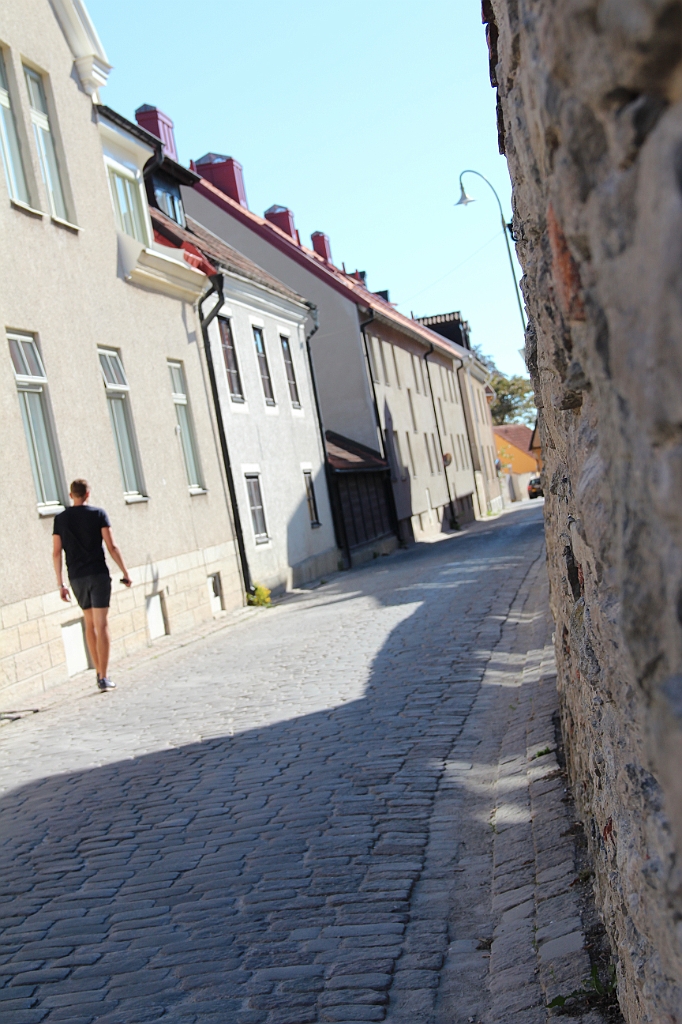 Almedalen2015-0698