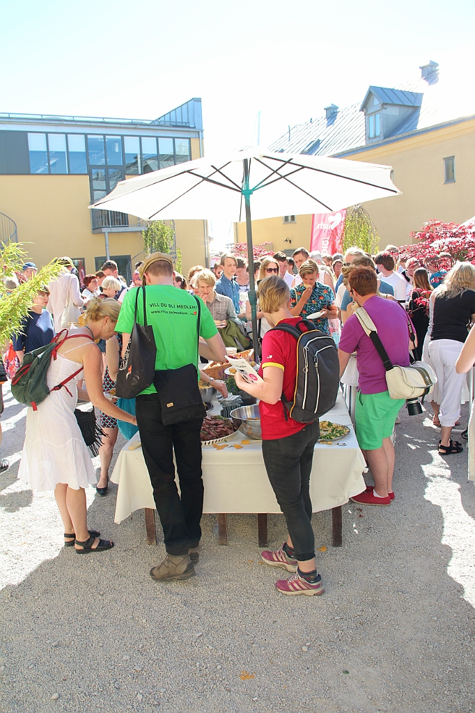 Almedalen2015-0954