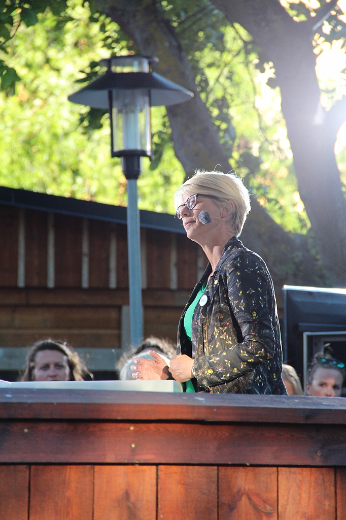 Almedalen2015-0992