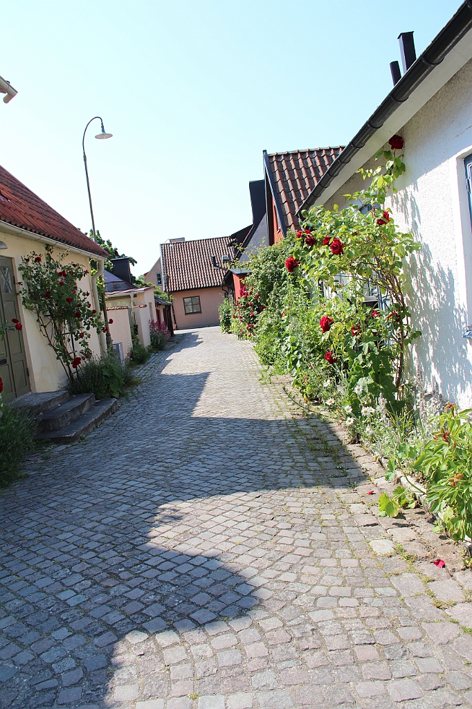 Almedalen2015-1049