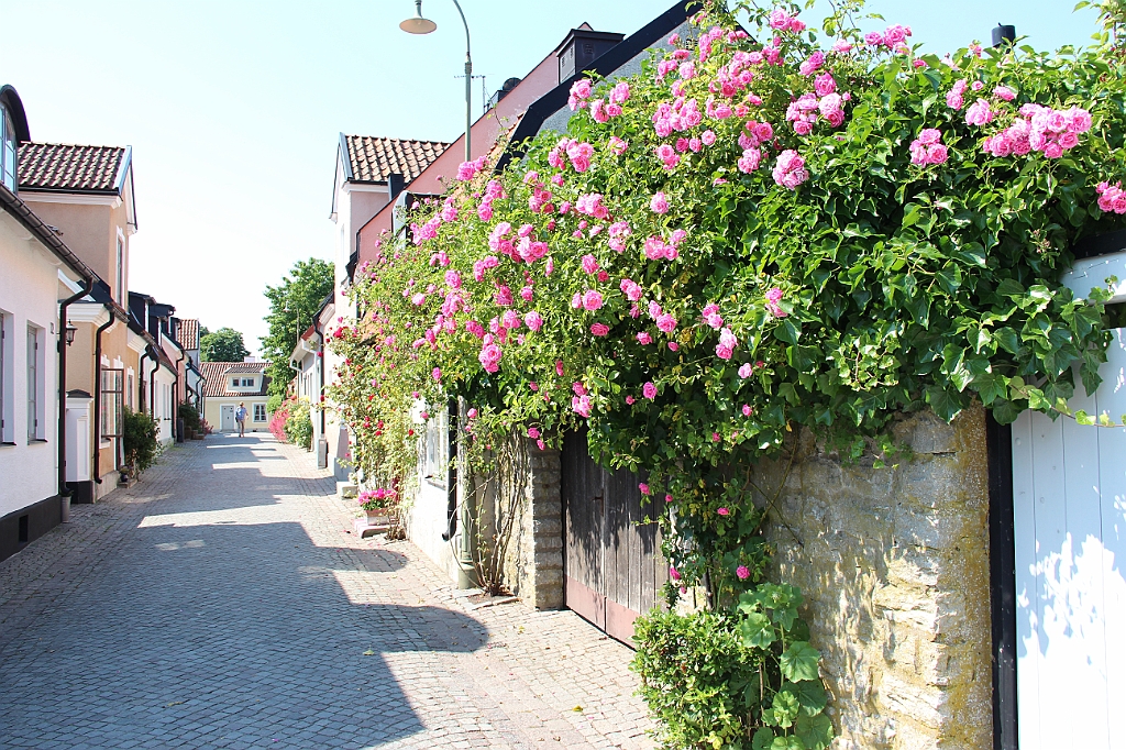 Almedalen2015-1063
