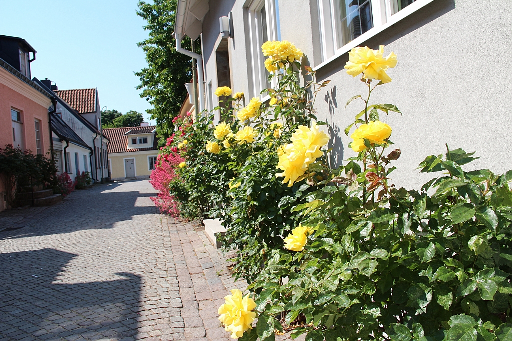 Almedalen2015-1064