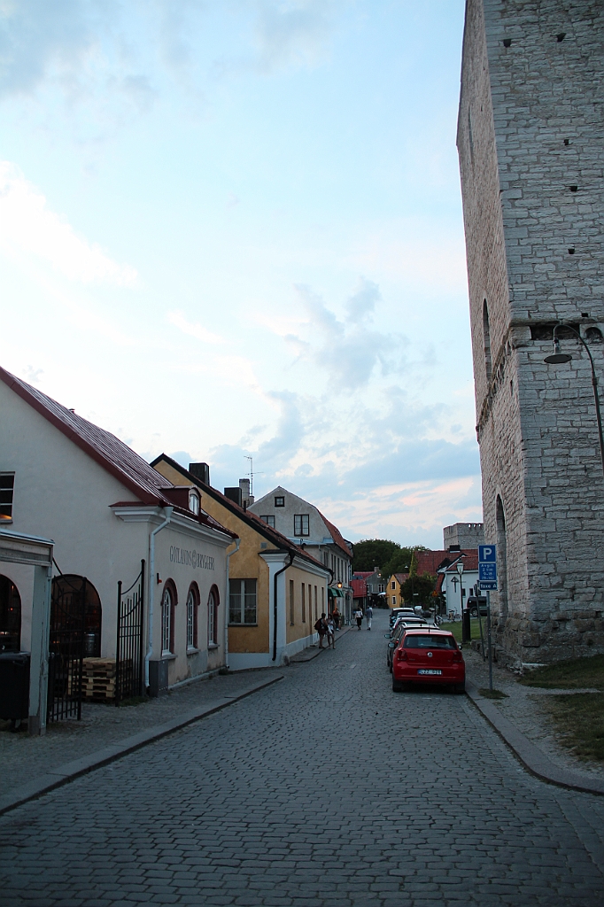 Almedalen2015-1179