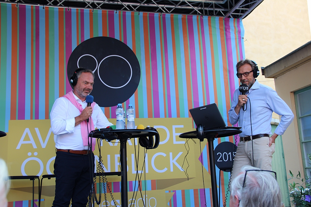 Almedalen2015-1275