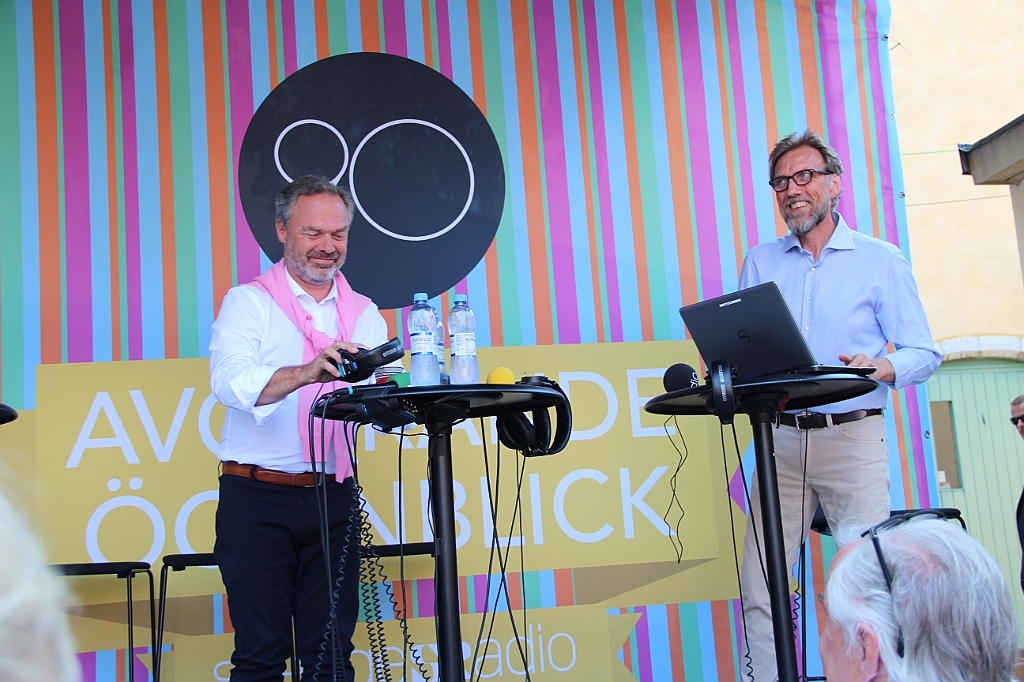 Almedalen2015-1280
