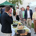 Almedalen2015-0085