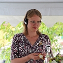 Almedalen2015-0199