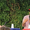 Almedalen2015-0603
